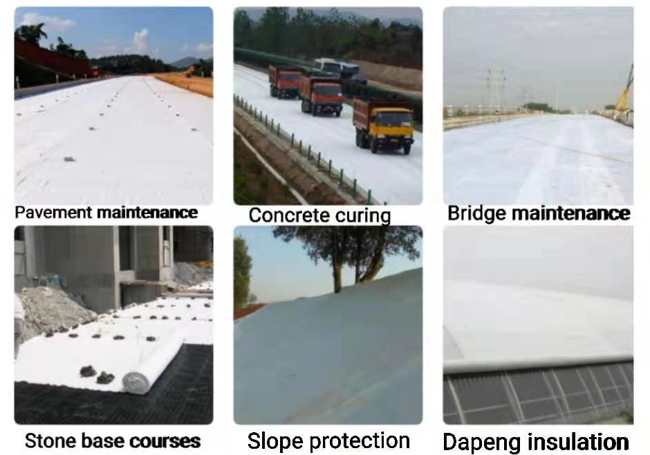 100~1000 G Black Color Pet PP Material Woven Geotextile for Road Construction